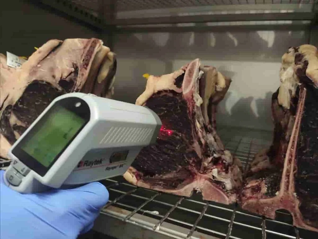 Nuevas metodologías para optimizar la maduración de la carne de vacuno y garantizar su seguridad alimentaria