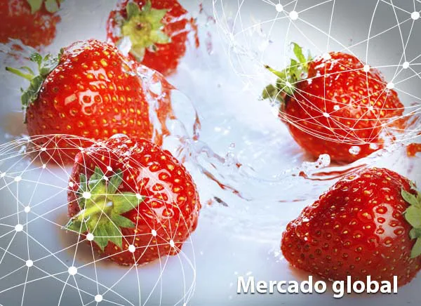 Resumen del mercado global de la fresa