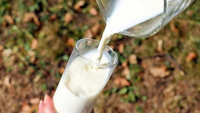 Importancia de la salud de la ubre en la calidad de la leche