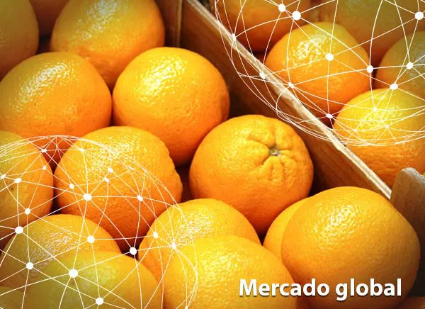 Resumen del mercado global de las naranjas