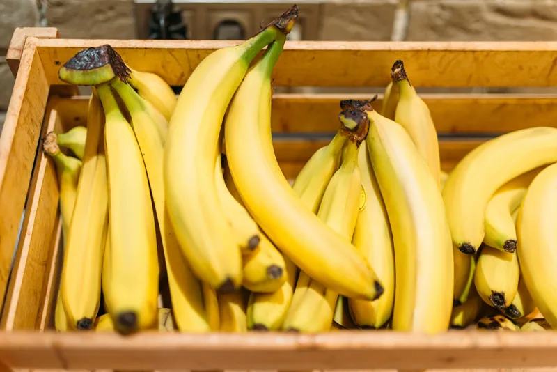 Ecuador y su apuesta por el banano sostenible