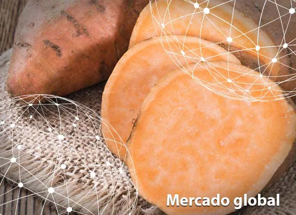 Resumen del mercado global de la batata