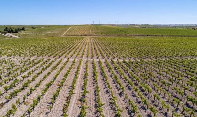 Bruselas reconoce "limitaciones" de fondos en la ayuda a los agricultores por los fertilizantes
