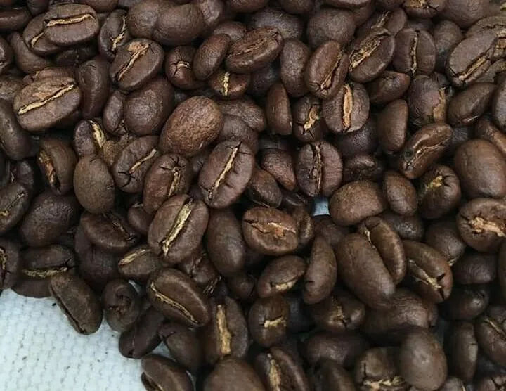 ECUADOR: Innovación cafetera ecuatoriana se exhibirá este 22 de mayo en Quito
