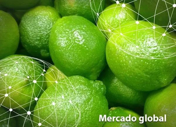 Resumen del mercado global de la lima