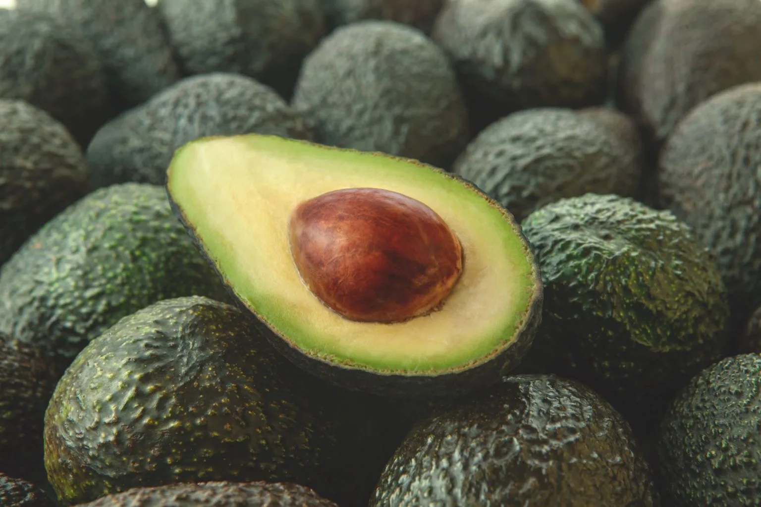 El aguacate Hass caucano dispone de la aplicación tecnológica especializada TECNOHASS