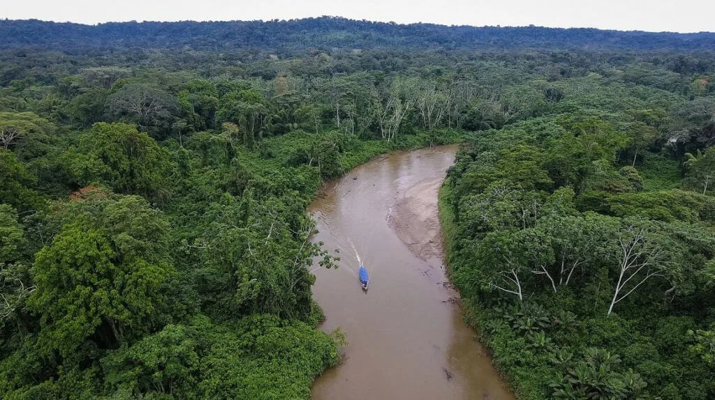 Brasil lanza centro pionero para la recuperación de ecosistemas amazónicos