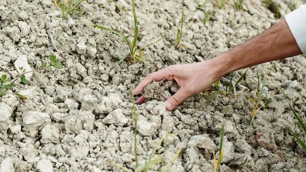 Brasil se prepara para la COP30 con el “Día del Clima”, una apuesta por la agricultura sostenible Brasilia, abril de 2025