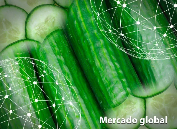 Resumen del mercado global del pepino