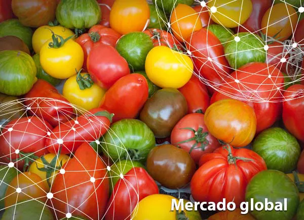 Resumen del mercado global del tomate
