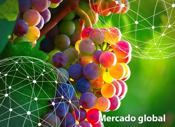 Resumen del mercado global de la uva