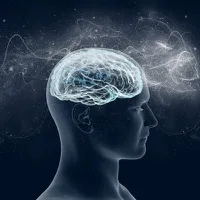 Investigadores estadounidenses descubren neuronas que se “iluminan” cuando los humanos ven imágenes de comida
