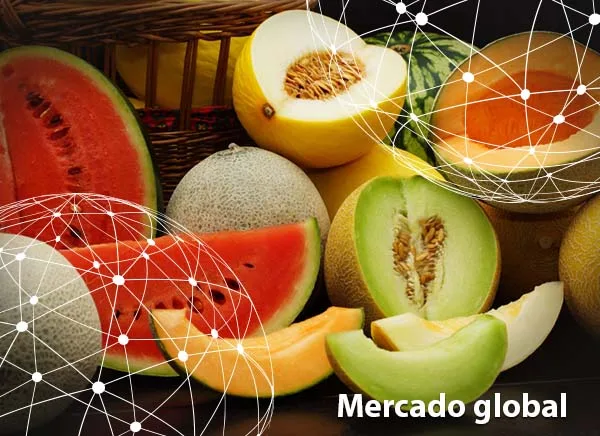 Resumen del mercado global del melón y la sandía
