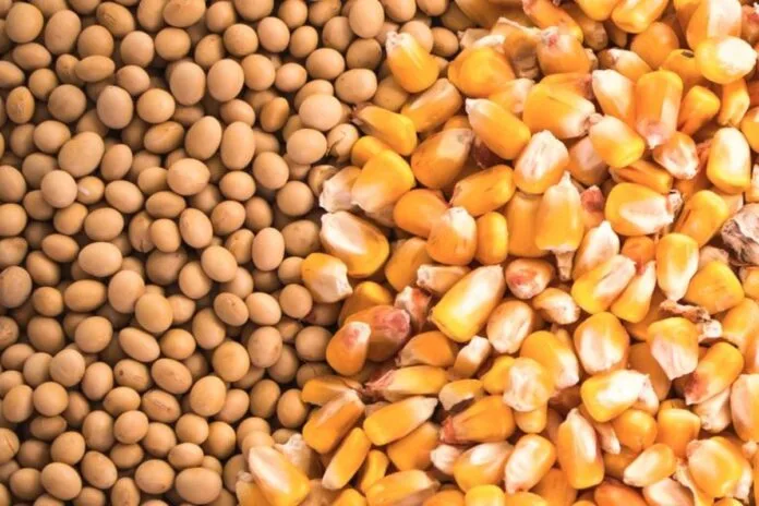 La USTR y el USDA afirman que las exportaciones agrícolas estadounidenses se recuperan