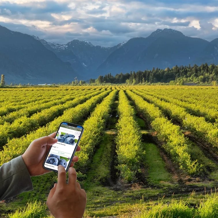 INTERNACIONAL: Líderes agropecuarios confían en tecnología para alcanzar Sostenibilidad Alimentaria, según encuesta de Alltech