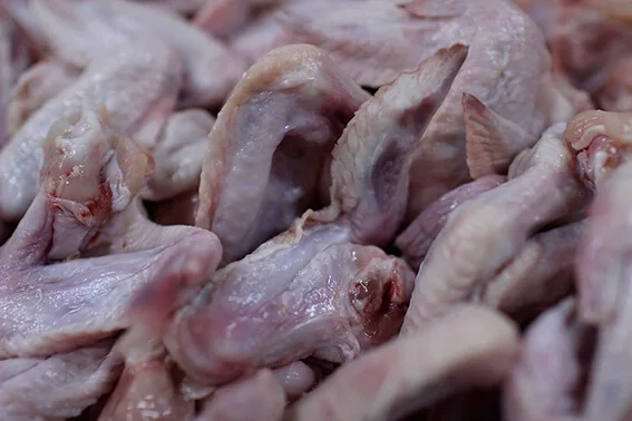 Por qué Europa no quiere el pollo de EE.UU. y qué países de América Latina lo compran