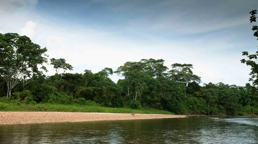 BRASIL: Manaos acoge Diálogos Climáticos rumbo a la COP30 en la Amazonía