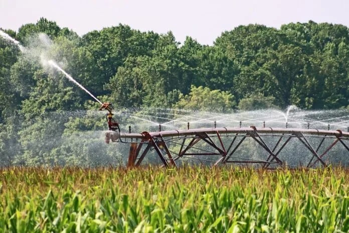 ¿Cómo mejorar la reutilización del agua usada?