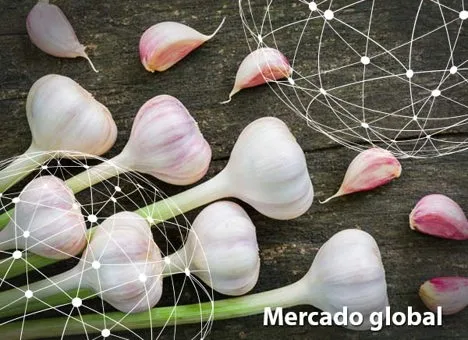 Resumen del mercado global del ajo