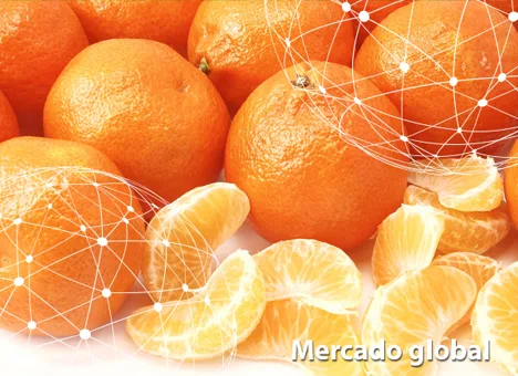 Resumen del mercado global de la mandarina