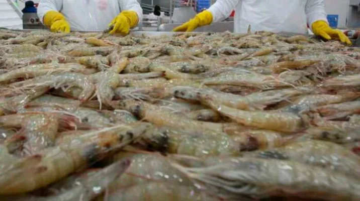 Desafíos logísticos impactan en el comercio entre Ecuador y Estados Unidos