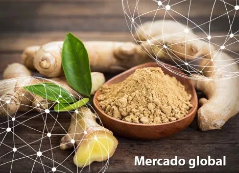 Resumen del mercado global del jengibre