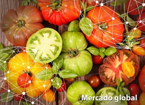 Resumen del mercado global del tomate
