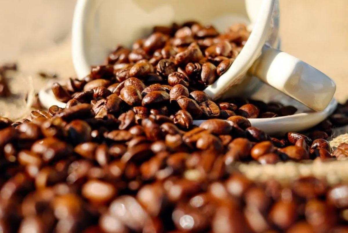 COLOMBIA: La Federación Nacional de Cafeteros anunció nueva estrategia para las exportaciones