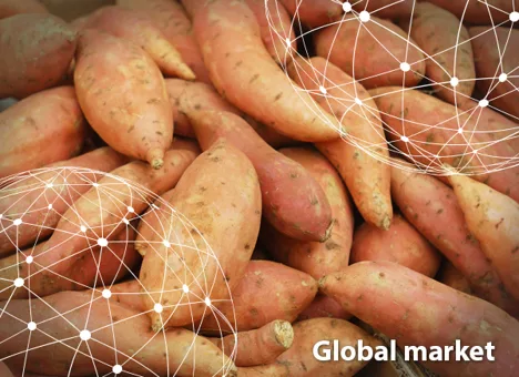 Resumen del mercado global de la batata