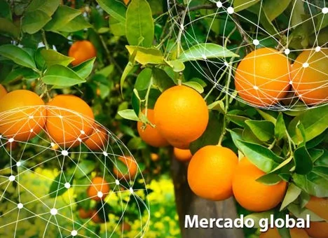 Resumen del mercado global de la naranja