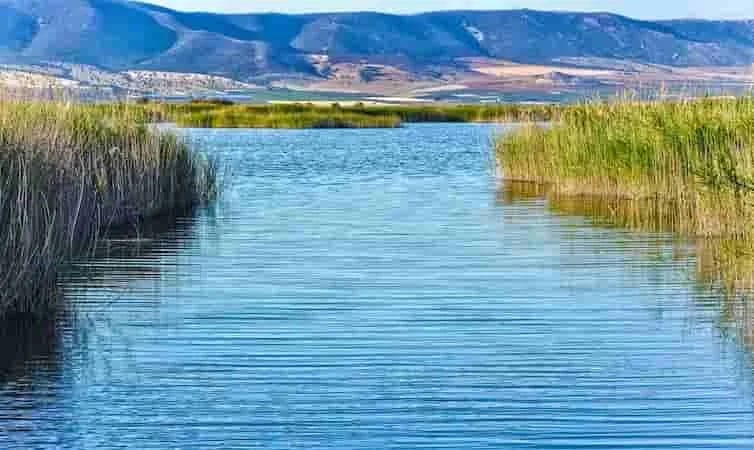Cómo incentivar el riego con agua regenerada para dar un respiro a ríos y acuíferos