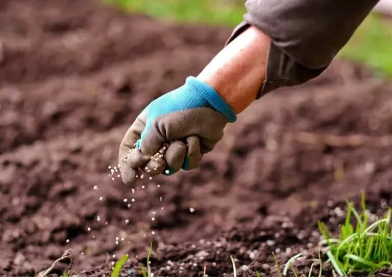 Complejidad de la fertilización de cultivos y la guerra contra los fertilizantes químicos