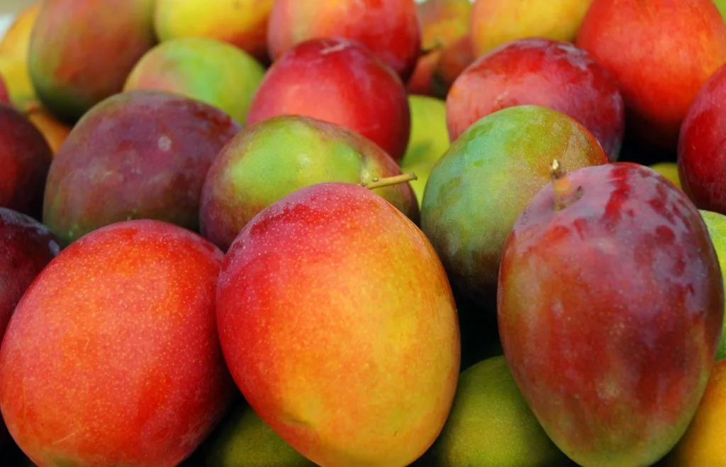 Resumen del mercado global del mango