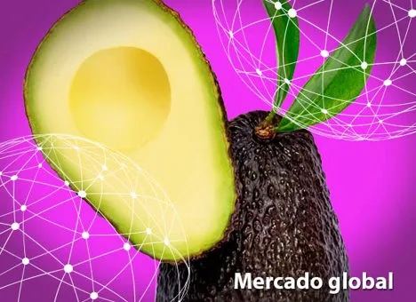 Resumen del mercado global del aguacate