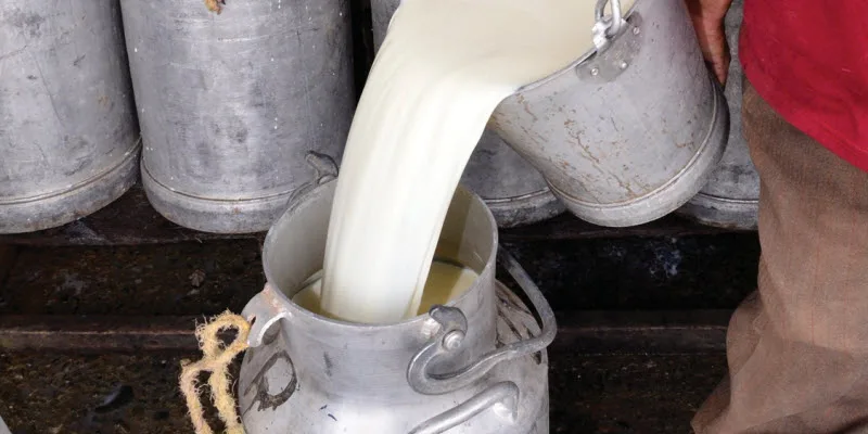 COLOMBIA: Asoganorte advierte impacto negativo por ingreso de leche en polvo de Estados Unidos sin aranceles