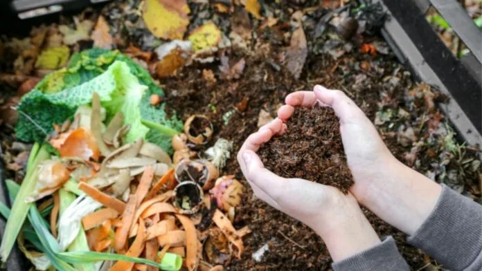 La técnica del compostaje como alternativa para el aprovechamiento de los alimentos