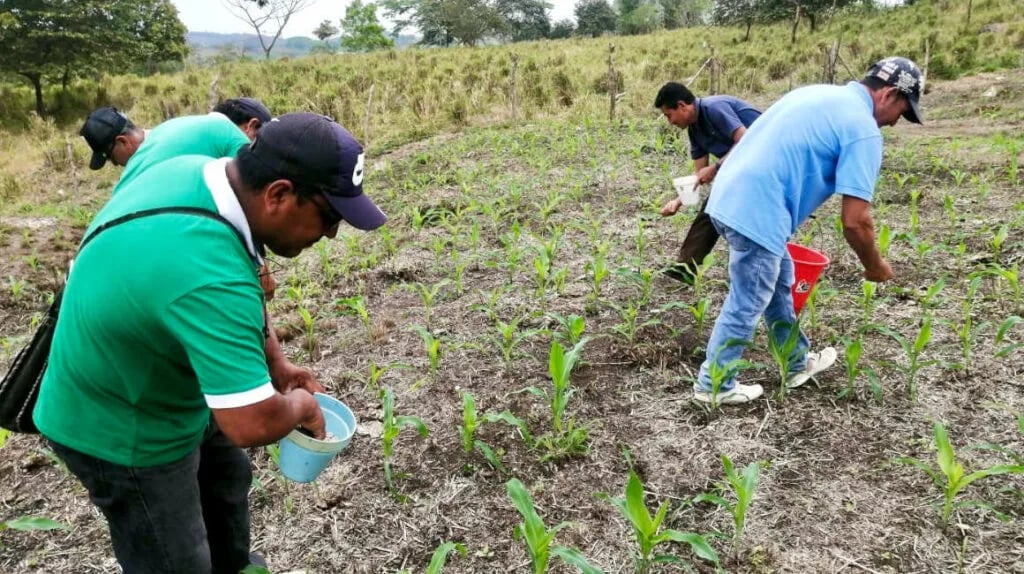 Los miembros del G7 examinan cómo atenuar las subidas de costos para los agricultores