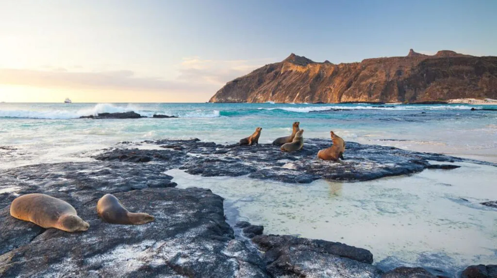 ECUADOR: Parque Nacional Galápagos recibe reconocimiento internacional