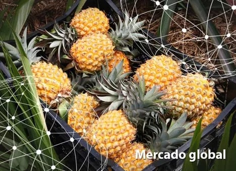 Resumen del mercado global de la piña