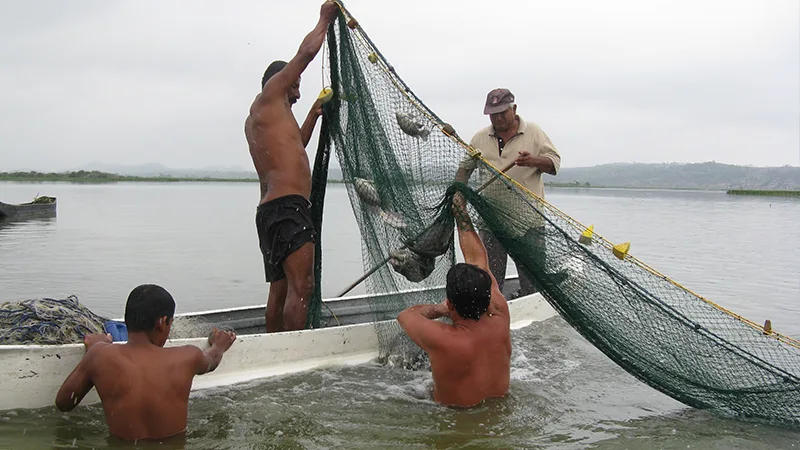 ECUADOR: Reconocimiento al Sector Pesquero