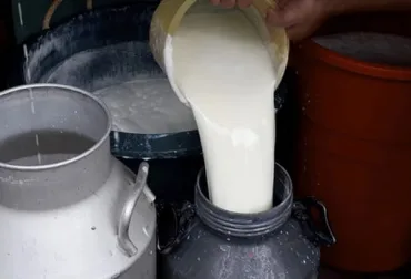 Colombia elevó el consumo de leche a 167 litros por habitante, según Asoleche