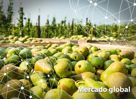 Resumen del mercado global de la pera