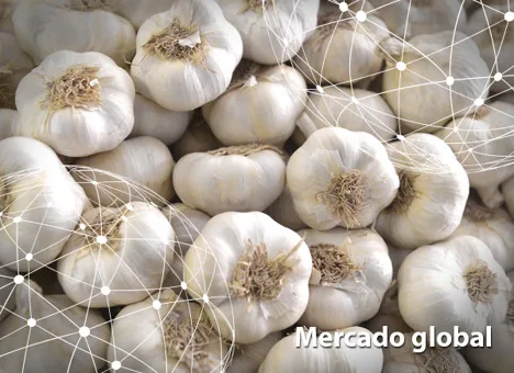 Resumen del mercado global del ajo