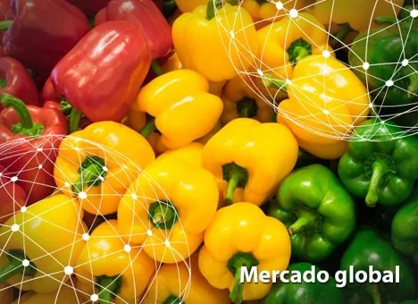 Resumen del mercado global del pimiento
