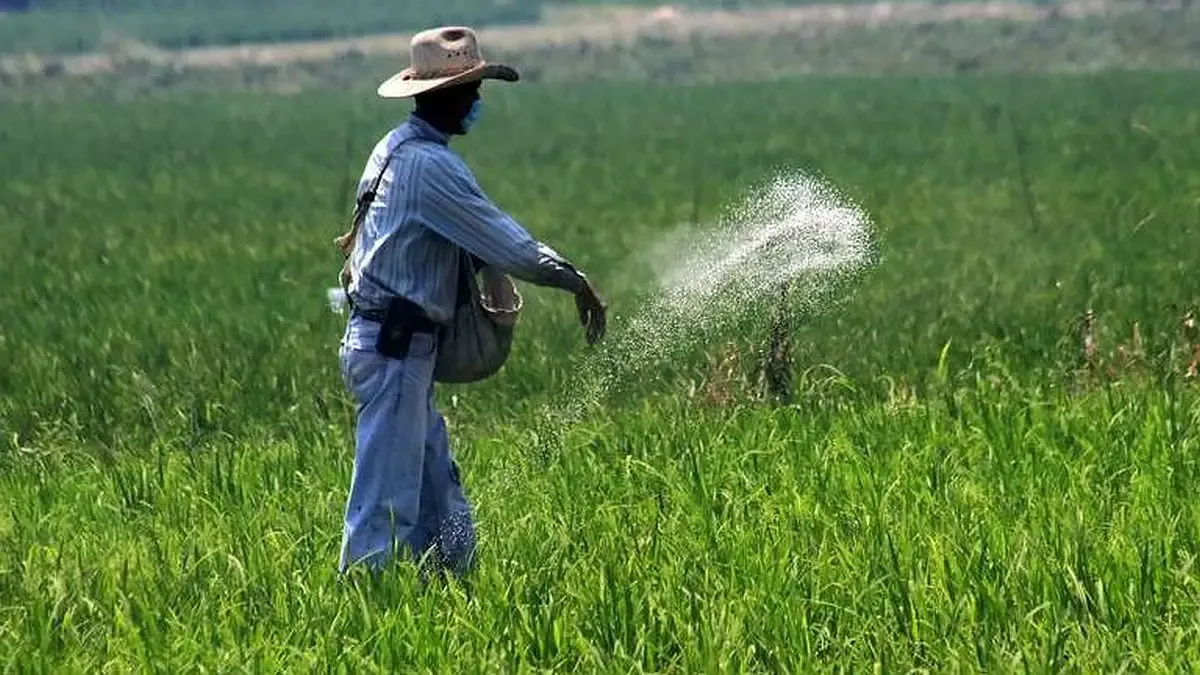 ECUADOR: Innovagro pide excluir insumos agrícolas de arancel del 30%