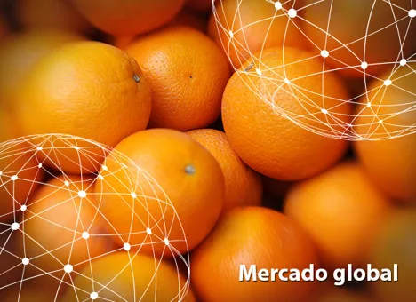 Resumen del mercado global de la naranja