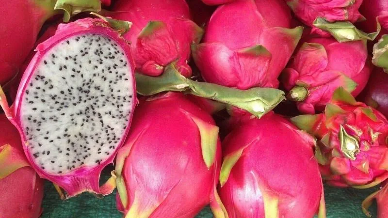 Ecuador activa medidas tras bloqueo de pitahaya en Perú