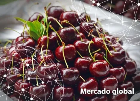 Resumen del mercado global de la cereza