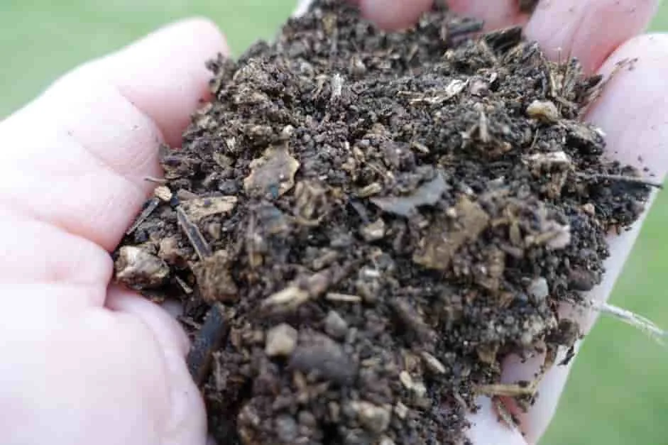 Fomentar el compostaje de proximidad para que el compost contribuya a preservar los suelos y mejorar su salud
