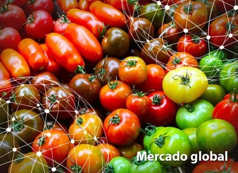 Resumen del mercado global del tomate